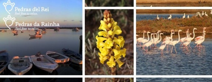 Tabela com Descontos