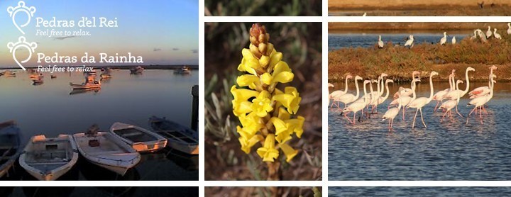 Tabela com Descontos